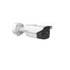 Image du produit Cam&eacute;ra IP Bullet Thermographique Bi-Spectrum R&eacute;solution 256 x 192 IP67 IR 30m IK10 Focale 3.6mm Lumi&egrave;re Blanche